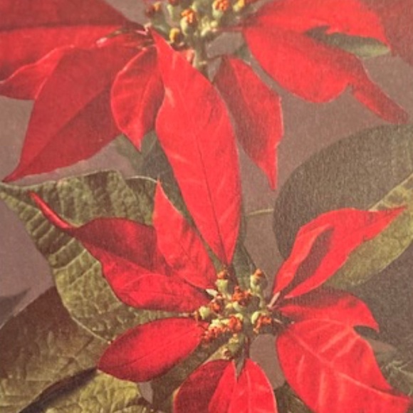 Happy Poshing! - Picture 10 of 16